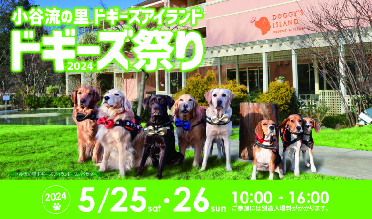ドギーズ祭り2024