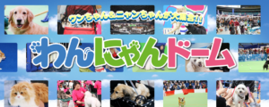 わんにゃんドーム2025 in Aichi Sky Expo
