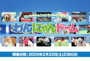 『わんにゃんドーム2025』出店しました！