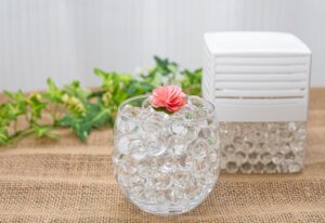 最強はどれ？ペットのニオイに効く置き型消臭剤おすすめ徹底比較【通常型＆電化製品タイプ】