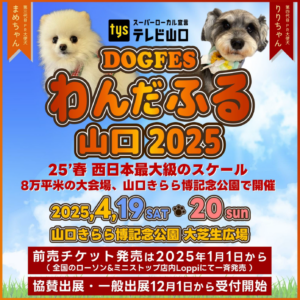 わんだふる山口2025