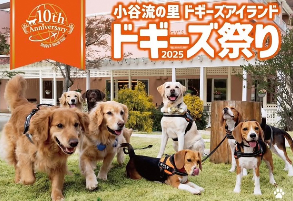 ドギーズ祭り2025
