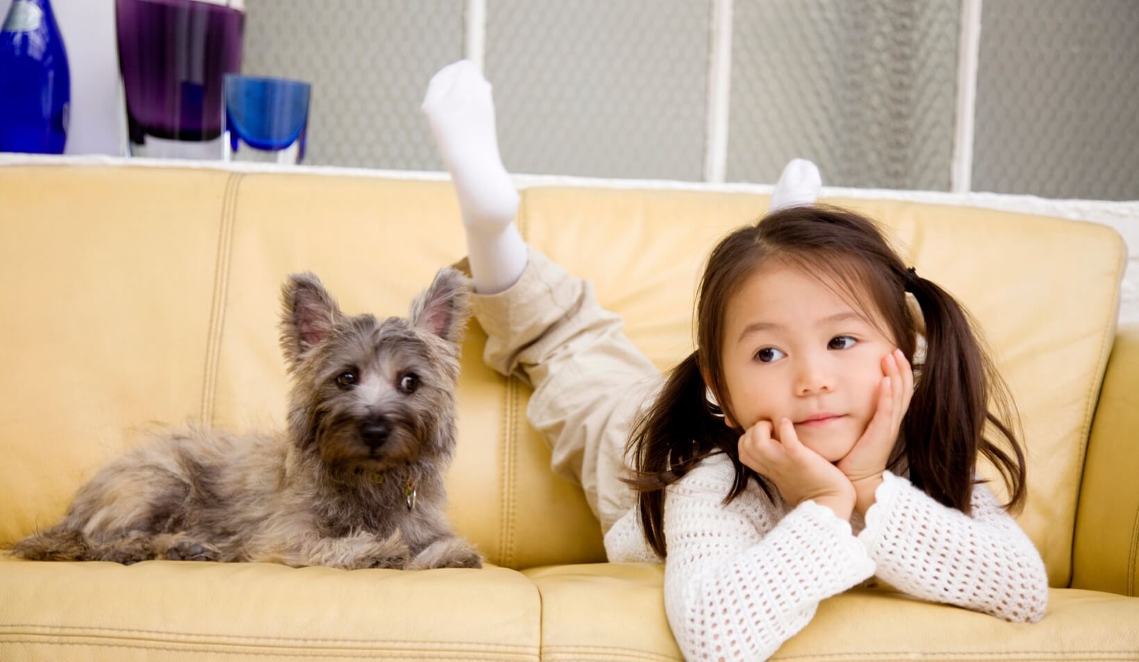 お子さまやペットがいるご家庭