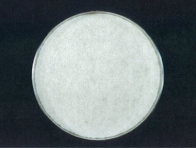 アオカビ 対照 4時間後（写真-3）