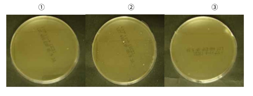 医療法人○○○病院 処理試験区