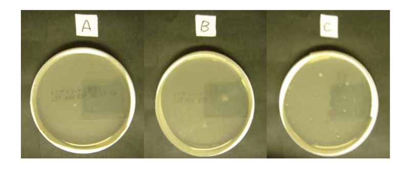 社内 処理試験区