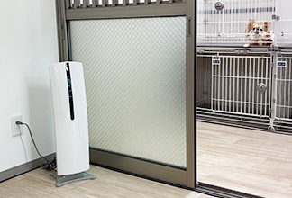 陽だまりドッグヴィレッジ様のサムネイル