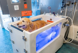 Petreat様のサムネイル