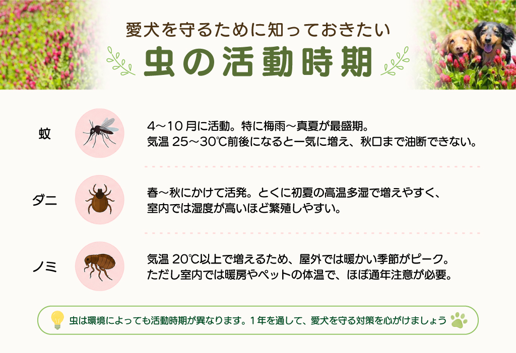 愛犬を守るために知っておきたい 虫の活動時期